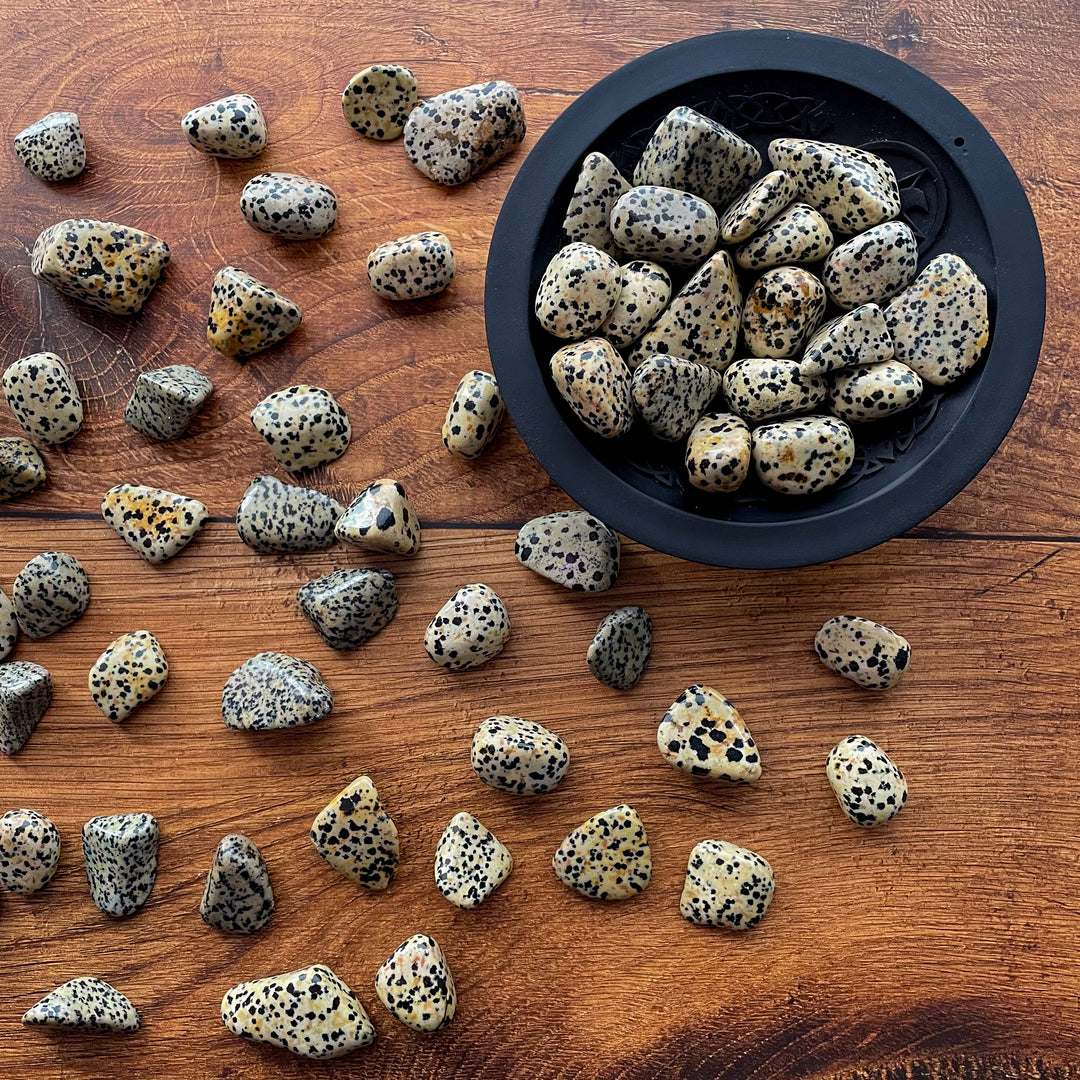 A handful of dalmatian jasper stones on a wooden background.