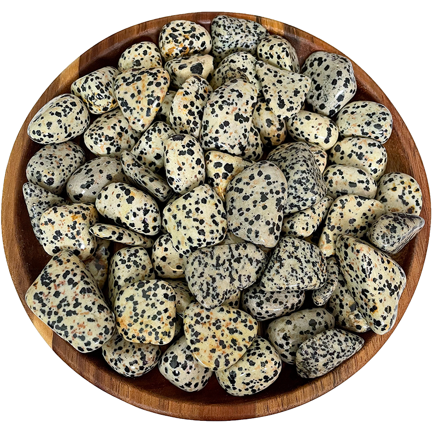A collection of dalmatian jasper stones on a wood plate.