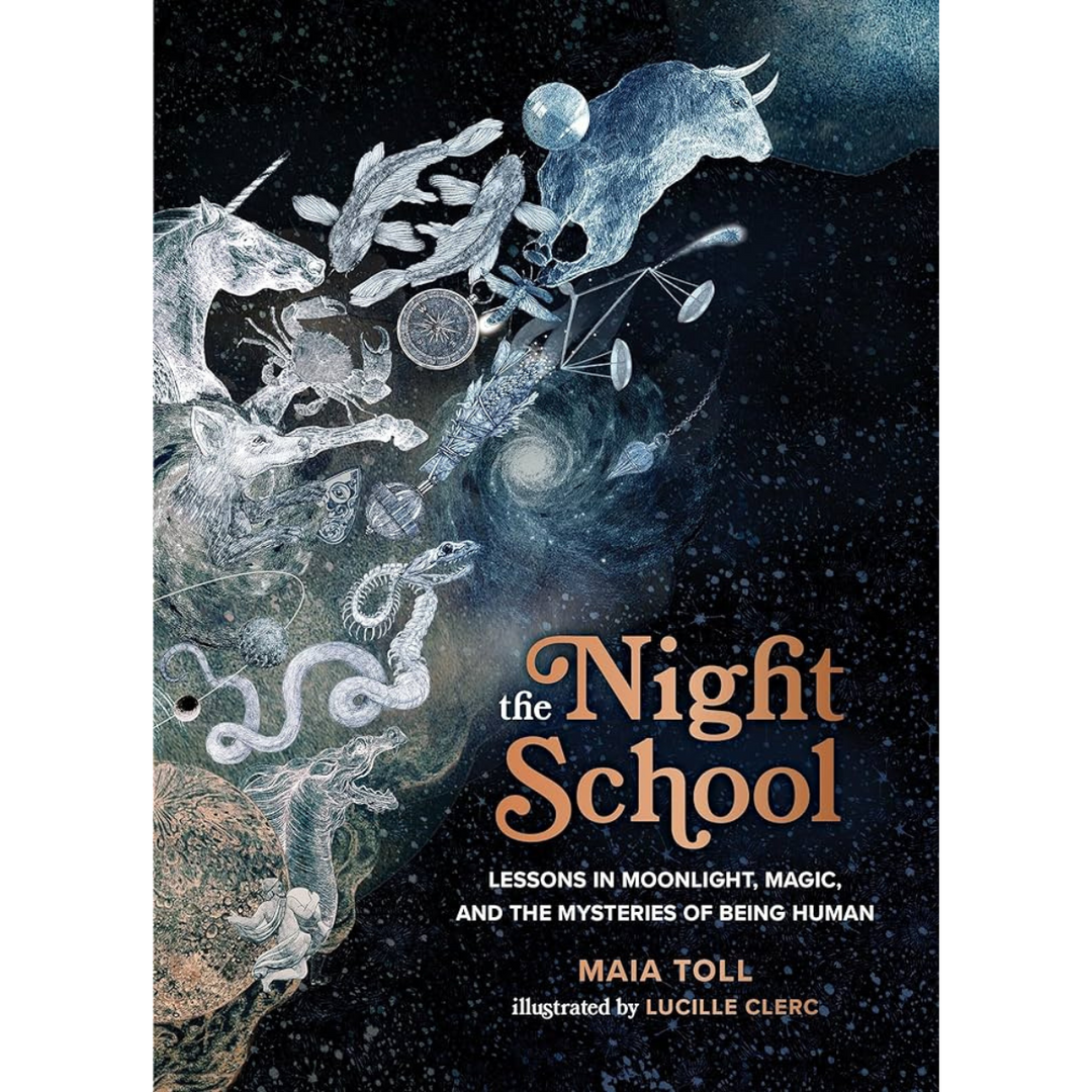 The Night School [PREVIOUSLY LOVED]