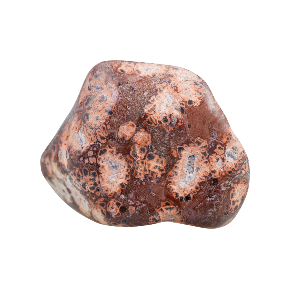 A piece of leopardskin jasper.